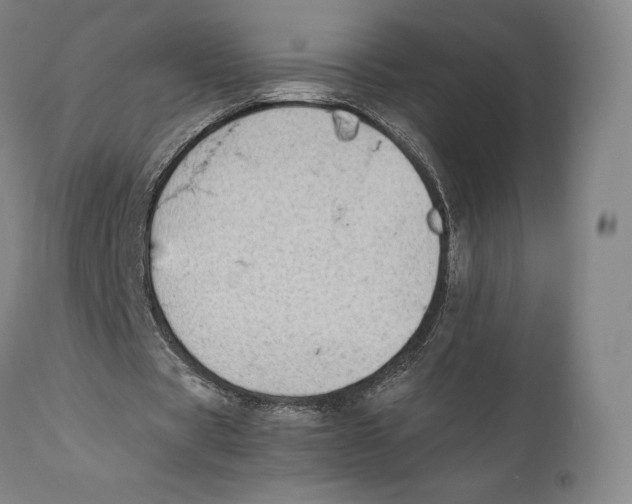 X0000111530529200908111229