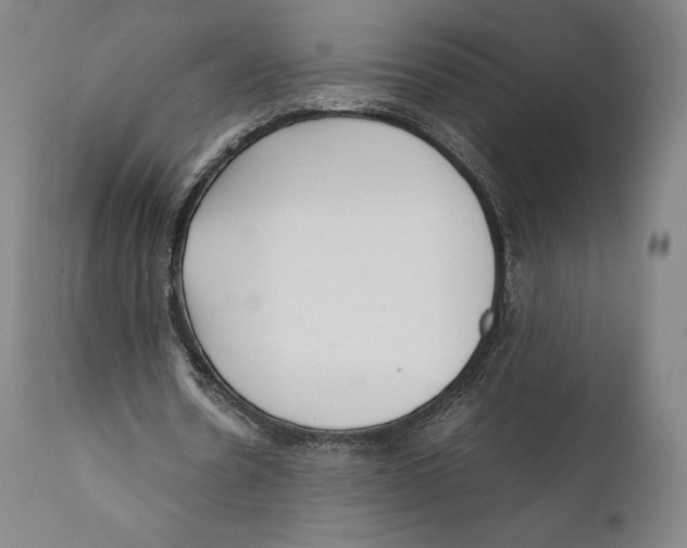 X0000111530530200908111229