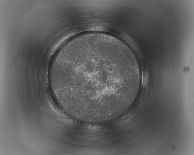 X0000111530531200908111229