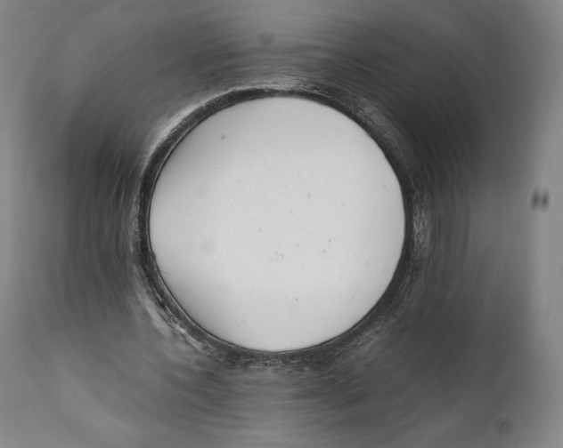 X0000111530532200908111229