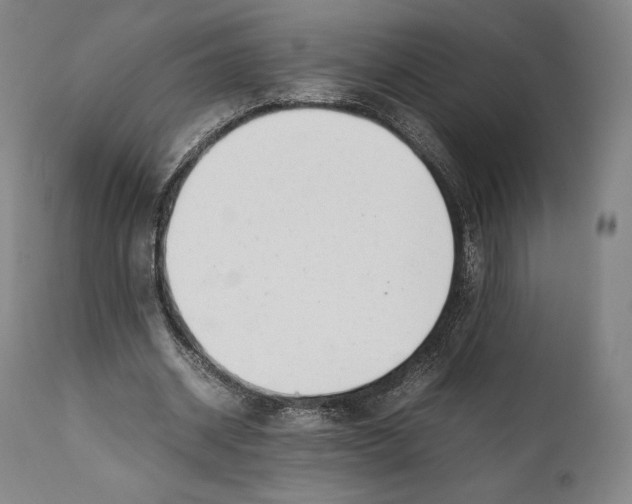 X0000111530534200908111229