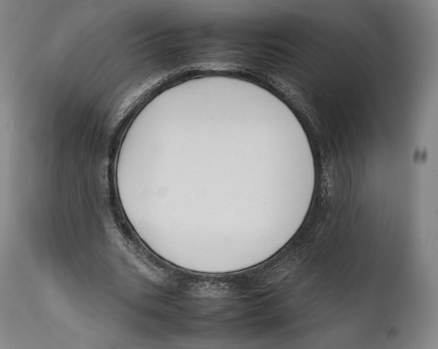 X0000111530535200908111229