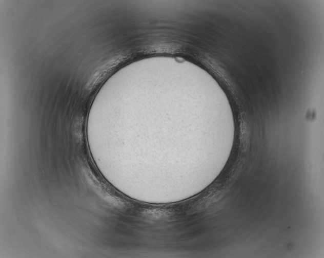 X0000111530537200908111229