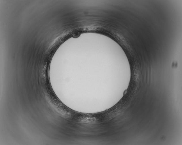 X0000111530543200908111229