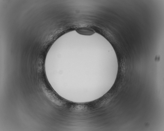 X0000111530546200908111229