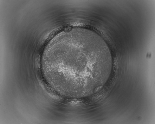 X0000111530547200908111229