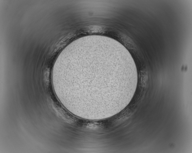 X0000111530550200908111229