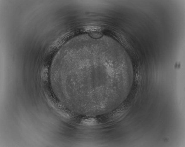 X0000111530551200908111229