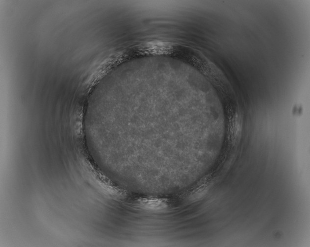 X0000111530553200908111229