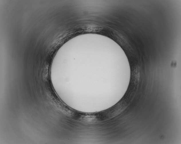 X0000111530554200908111229