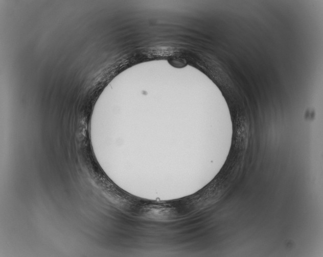 X0000111530555200908111229