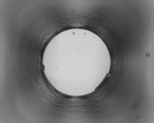 X0000111530556200908111229