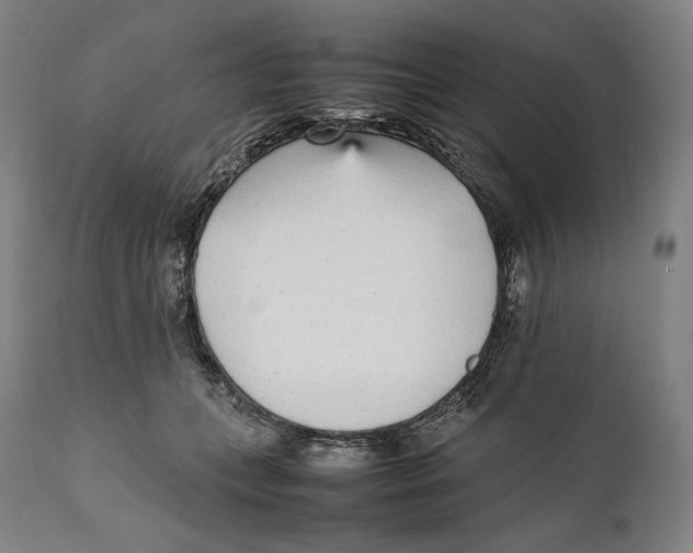 X0000111530559200908111229