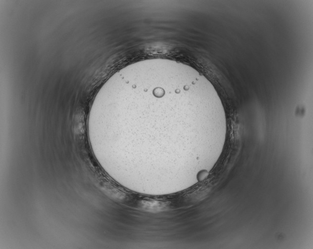 X0000111530561200908111229