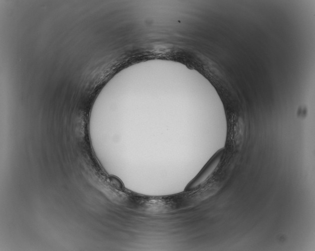 X0000111530562200908111229