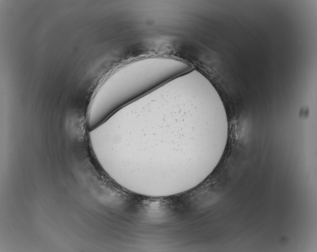 X0000111530564200908111229