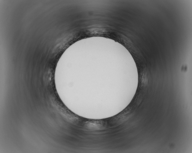 X0000111530567200908111229