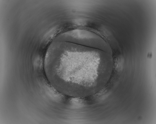 X0000111530568200908111229