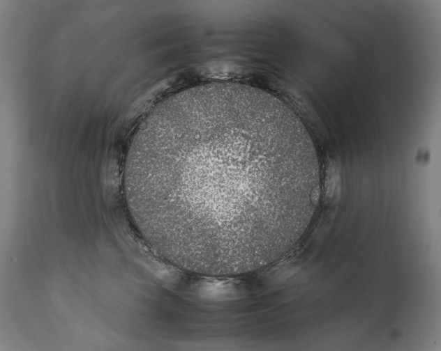 X0000111530569200908111229