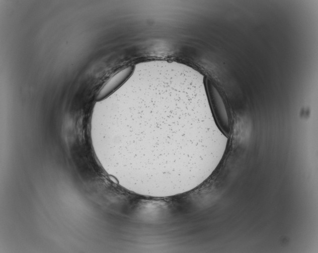 X0000111530572200908111229