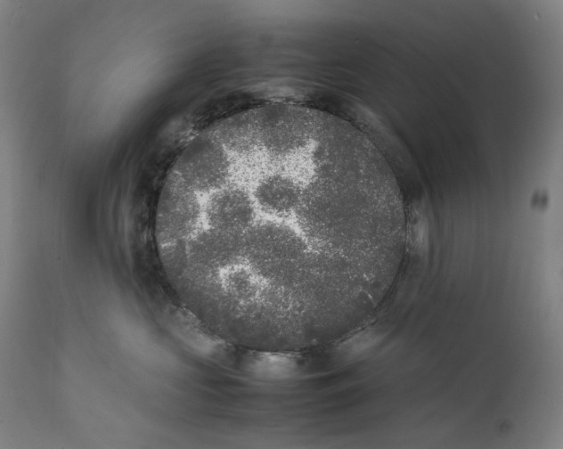 X0000111530573200908111229