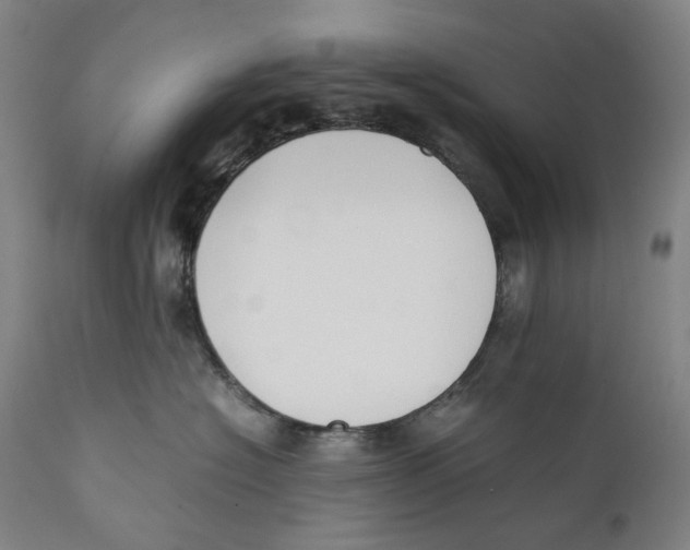 X0000111530574200908111229