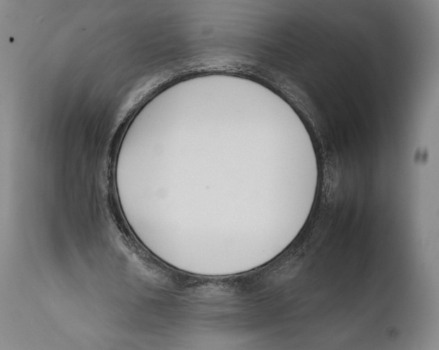 X0000111530578200908111229