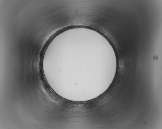 X0000111530580200908111228