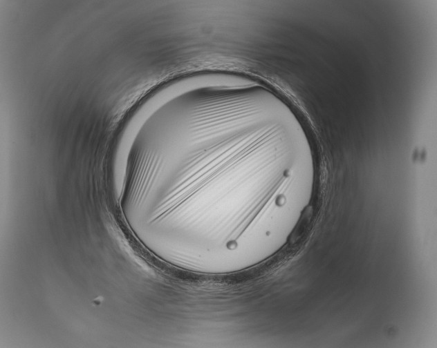 X0000111530581200908111228