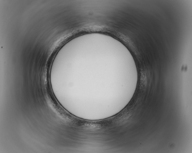 X0000111530582200908111228