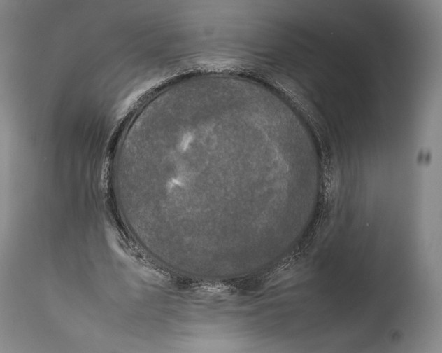 X0000111530583200908111228