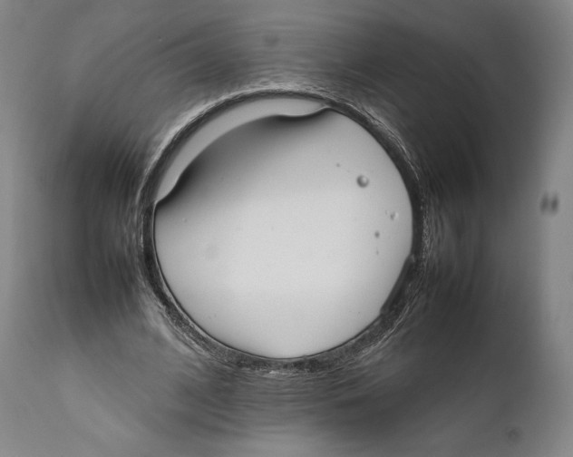 X0000111530584200908111228