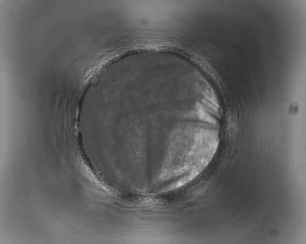 X0000111530585200908111228