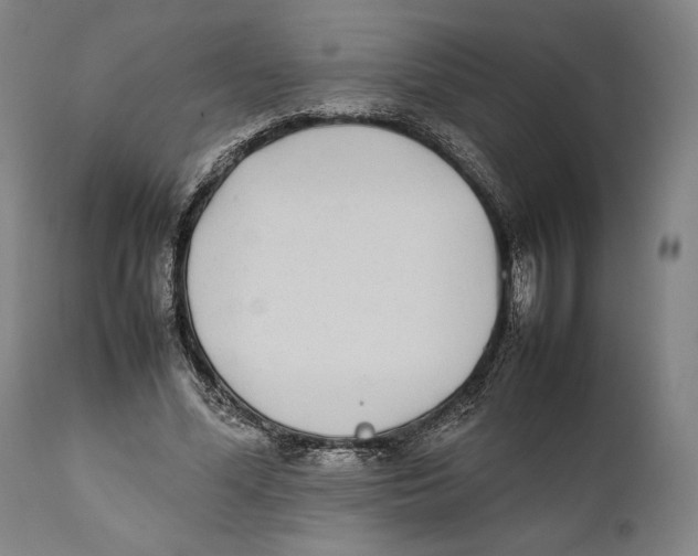 X0000111530588200908111228