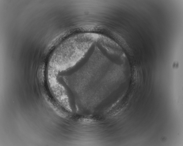 X0000111530590200908111228