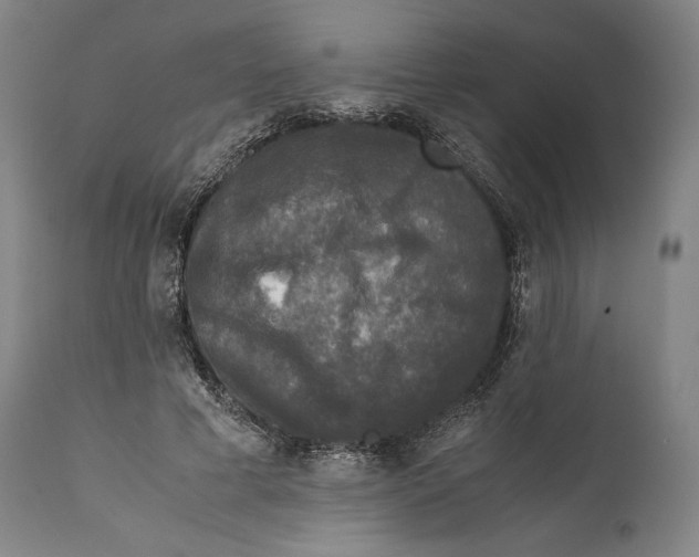 X0000111530593200908111228