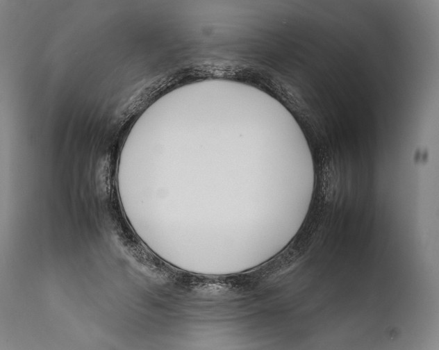 X0000111530594200908111228