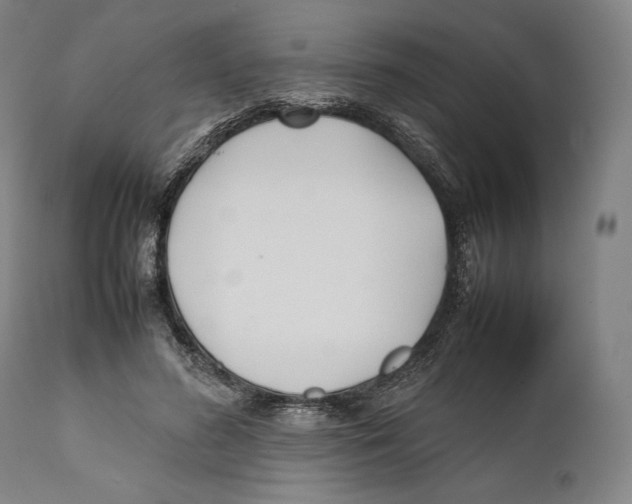 X0000111530596200908111228