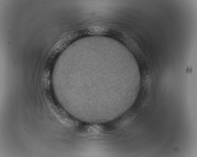 X0000111530599200908111228