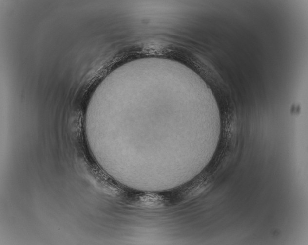 X0000111530603200908111228