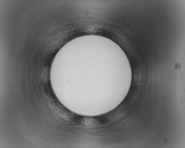 X0000111530605200908111228