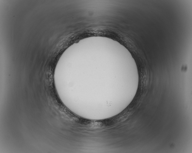 X0000111530609200908111228