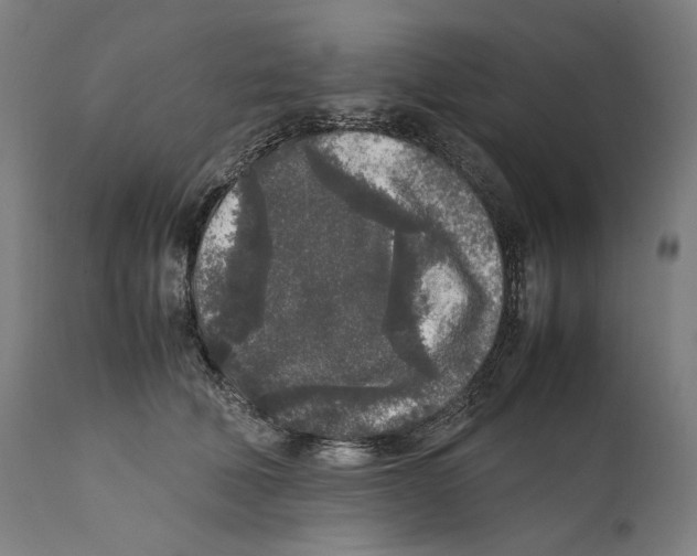 X0000111530610200908111228