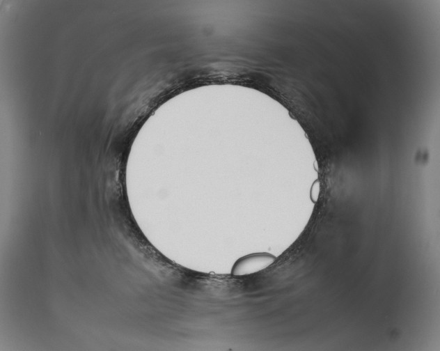 X0000111530615200908111228