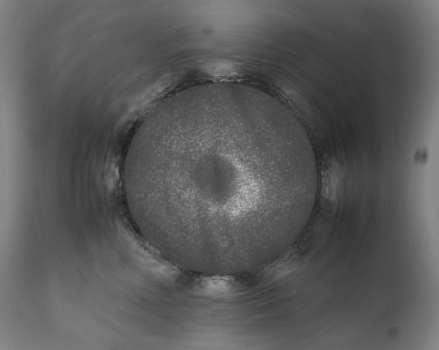 X0000111530618200908111228