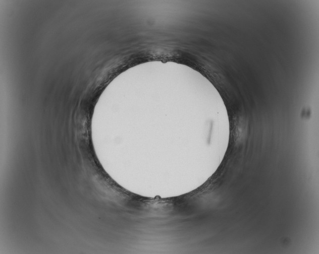 X0000111530619200908111228