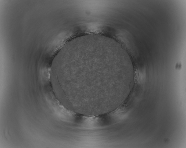 X0000111530621200908111228