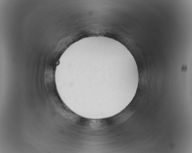 X0000111530623200908111228