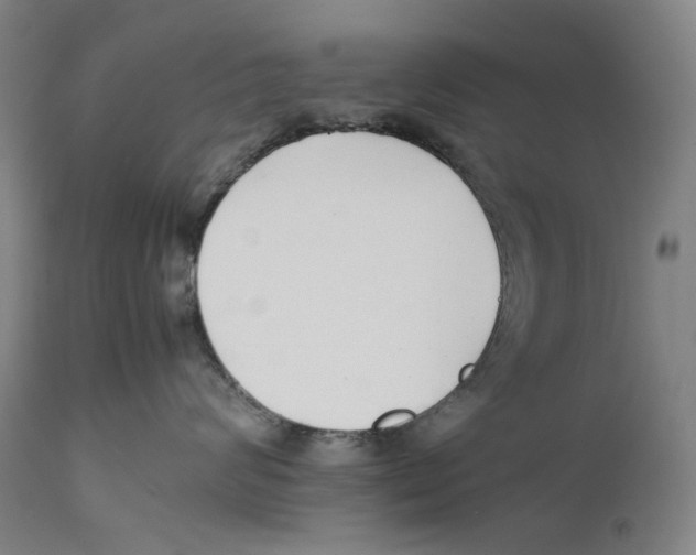 X0000111530624200908111228