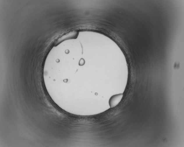 X0000111530625200908111227